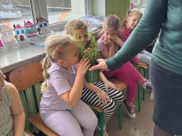 48732995811252627327350079150493534124786788n